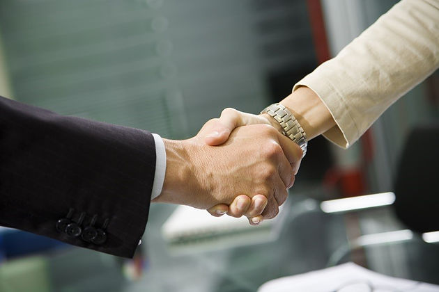 Two persons shaking hands